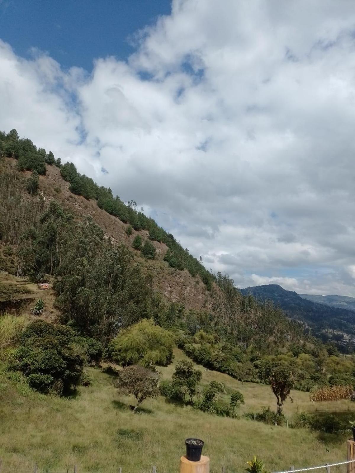 La Fresita Casa de Férias Jenesano
