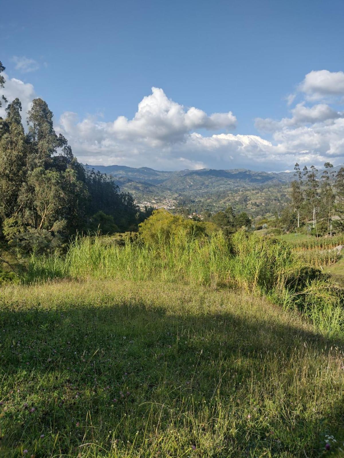 La Fresita